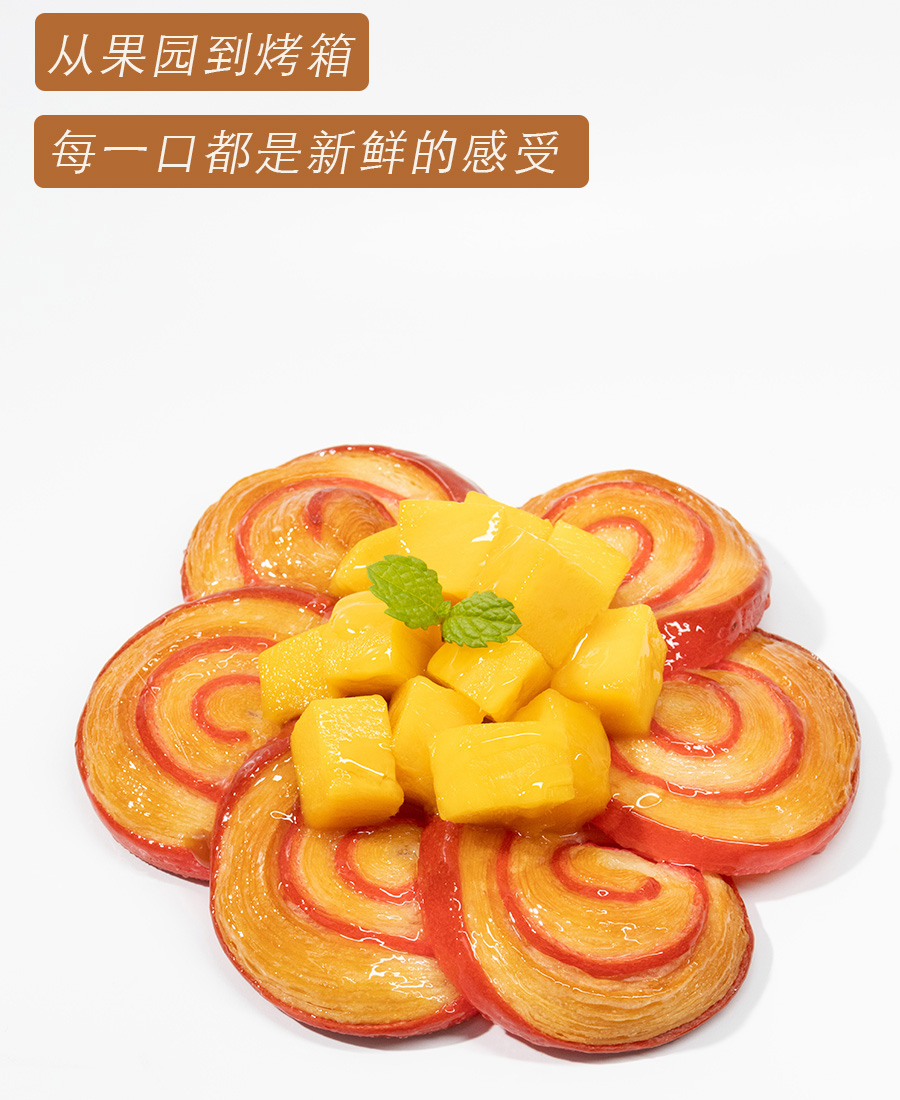 未标题-2.jpg 未标题-2.jpg